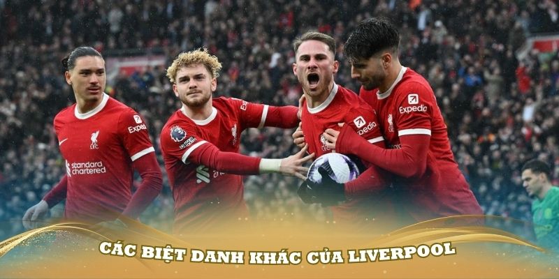 Các biệt danh khác của Liverpool mà bạn nên biết