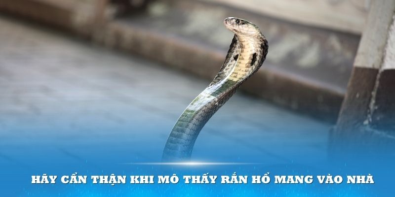 Hãy cẩn thận với những tín hiệu mà vũ trụ muốn gửi đến bạn